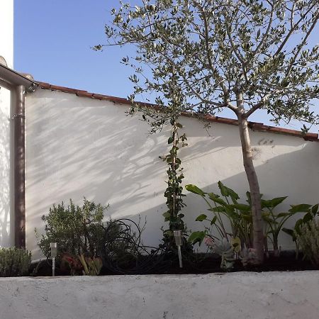 Il Nido Apartment Terni Exterior foto